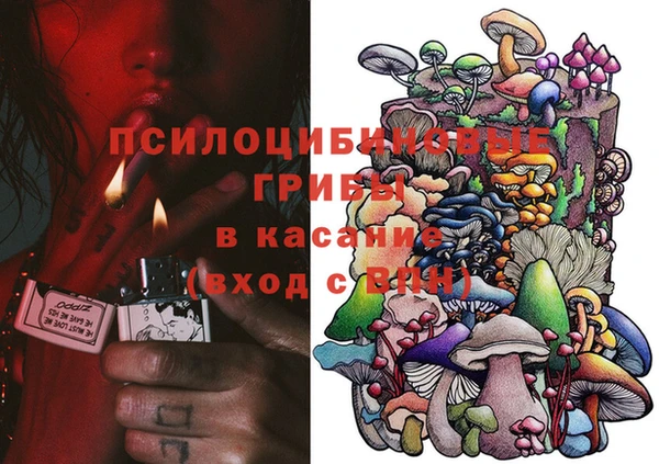 СК Михайлов