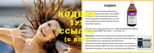 дживик Ряжск