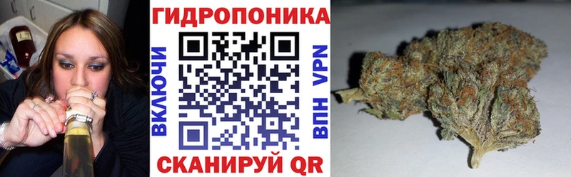 Канабис сатива  это клад  Суздаль 